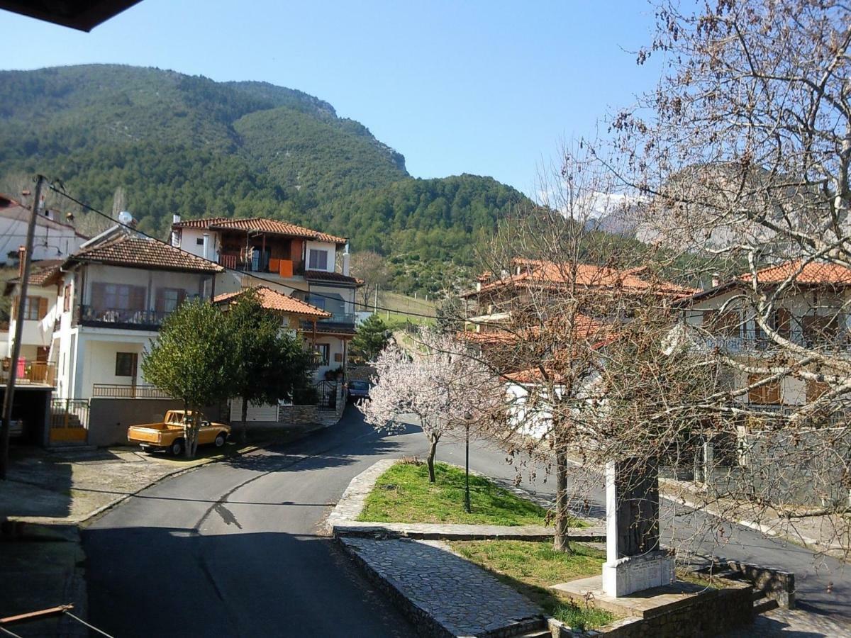 Apartment With View At Olympus Mountain Litochoro Exterior photo